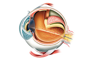 cataract-surgery-calgary-SAEC